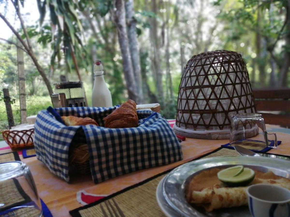 La Maison Des Bambous Siem Reap Bagian luar foto